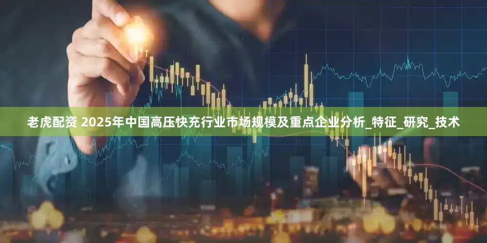 老虎配资 2025年中国高压快充行业市场规模及重点企业分析_特征_研究_技术