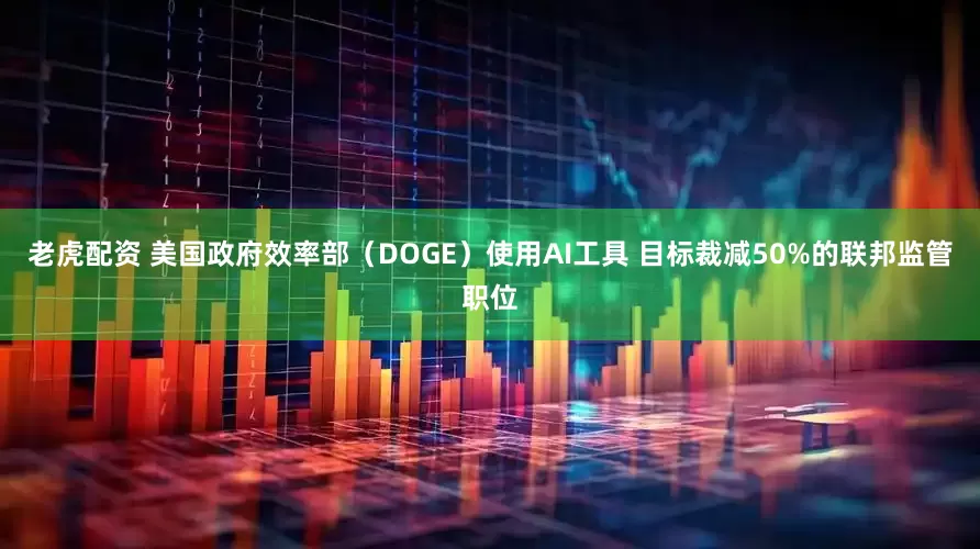 老虎配资 美国政府效率部（DOGE）使用AI工具 目标裁减50%的联邦监管职位