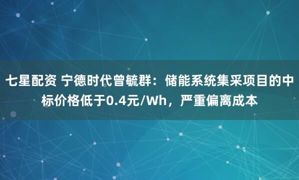 七星配资 宁德时代曾毓群：储能系统集采项目的中标价格低于0.4元/Wh，严重偏离成本
