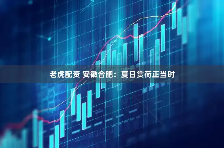 老虎配资 安徽合肥：夏日赏荷正当时